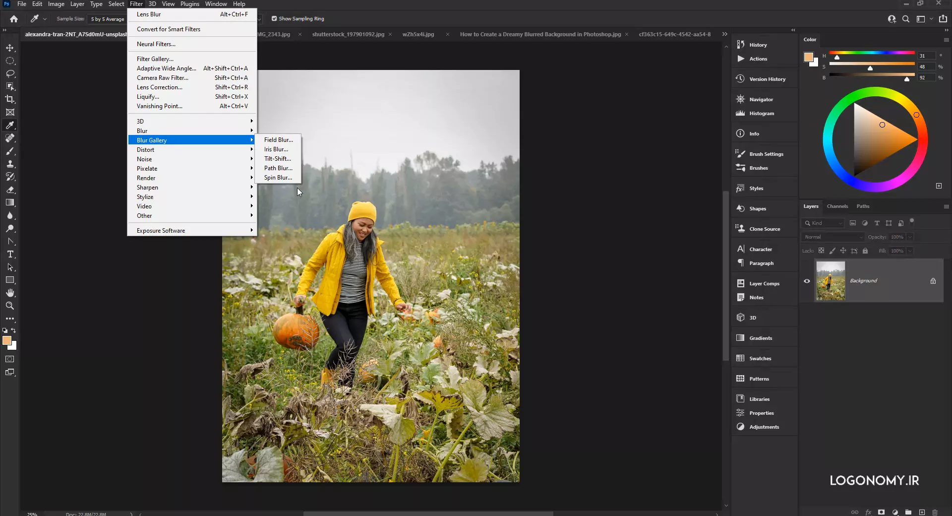 آشنایی با فیلترهای بلر گالری (Blur Gallery) در برنامه فتوشاپ Photoshop